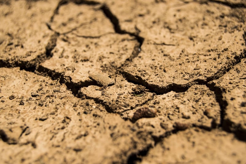 Soil Selection
