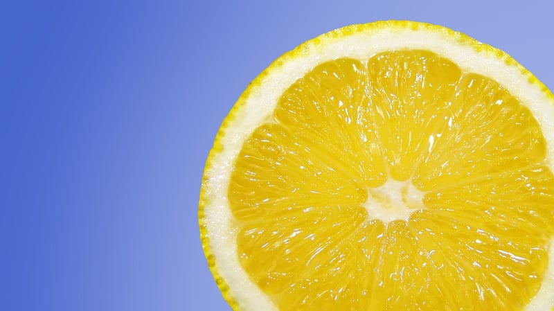 Citrus Trees